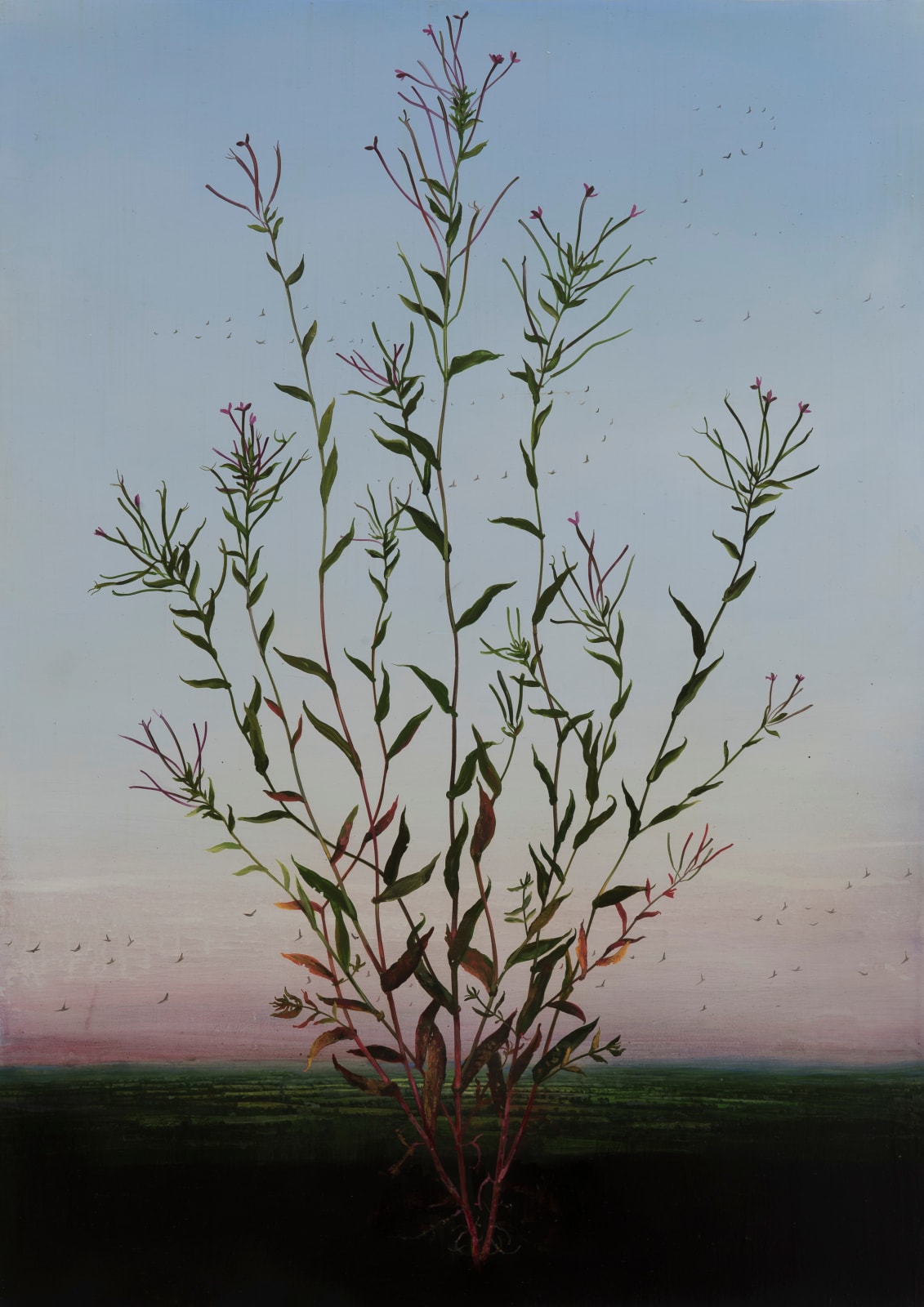 Michael Canning, Chevalier, 2015-2017