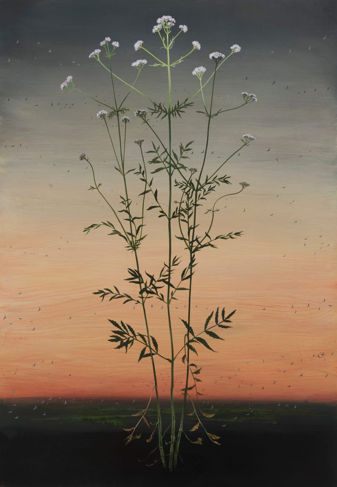 Michael Canning, Listening Love, 2013-2017