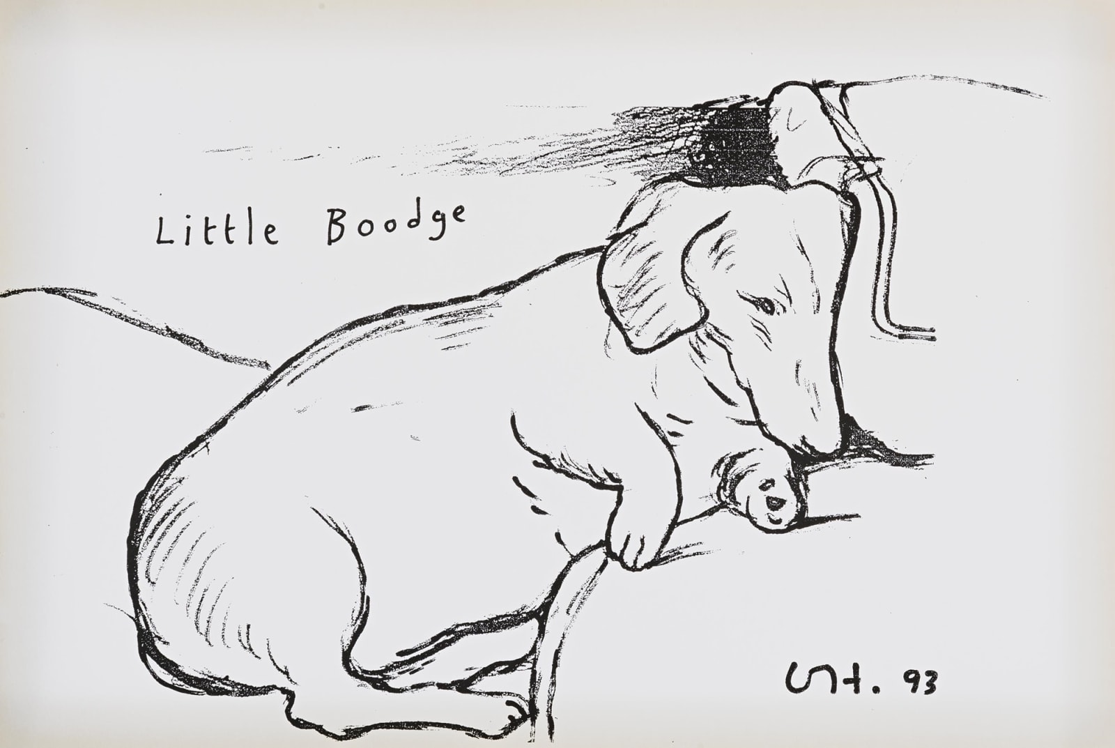 David Hockney, Little Boodge , 1993