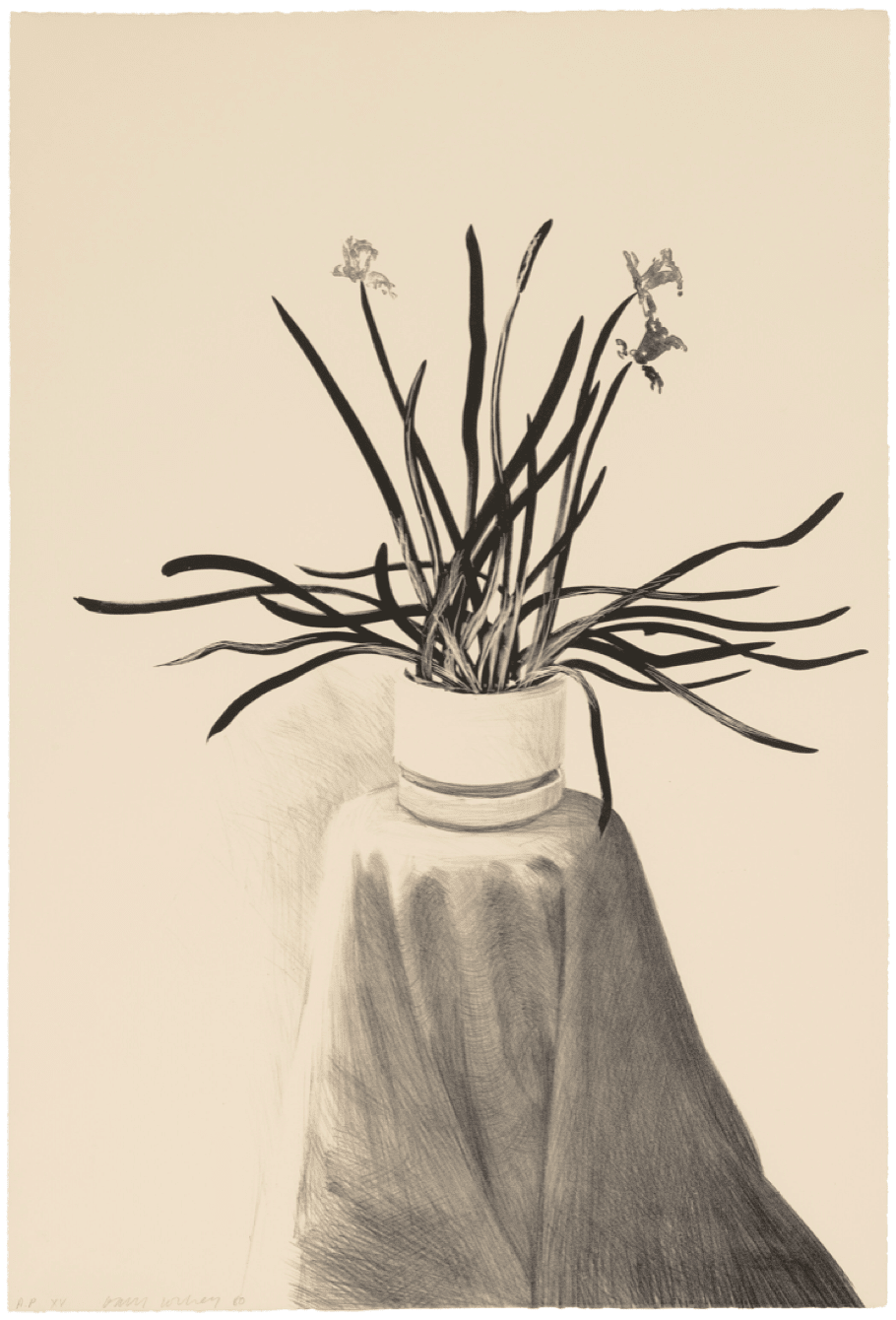 David Hockney, Potted Daffodils , 1980