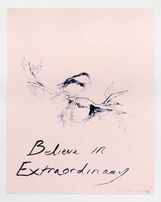 Tracey Emin, Believe in Extraordinary , 2015