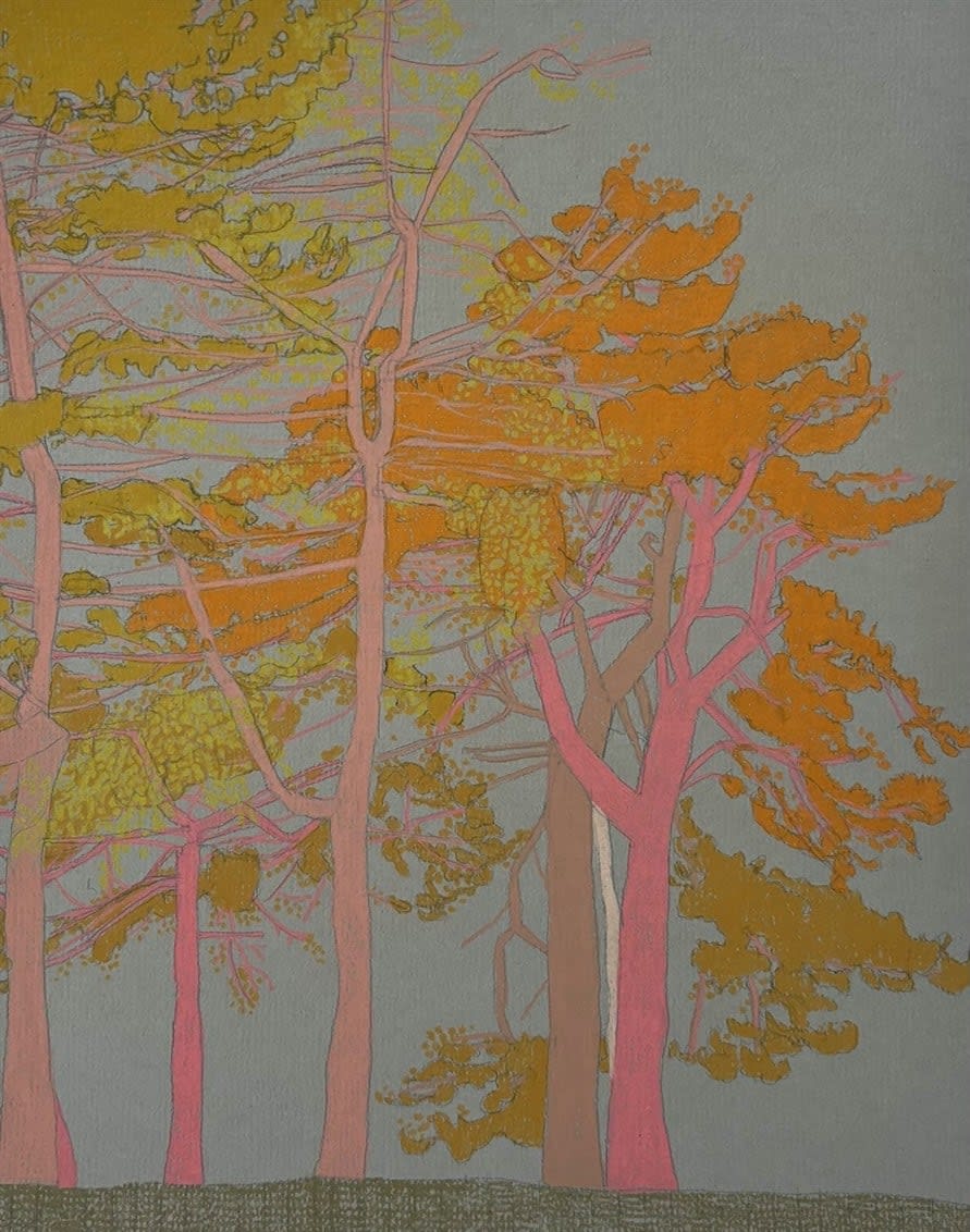 Drawings - Clare Halifax, Hampstead Heath Observation III