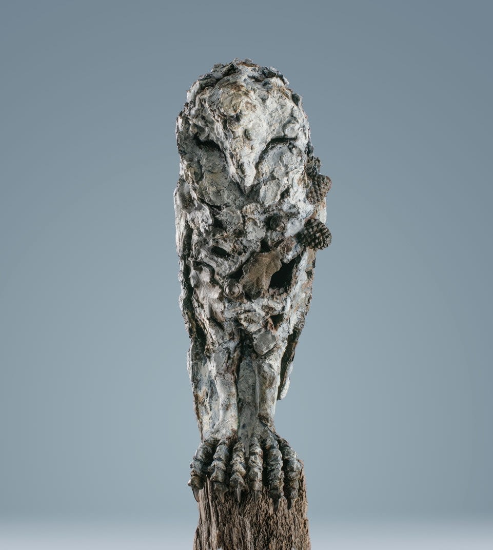 Olivia Ferrier, Resting Owl