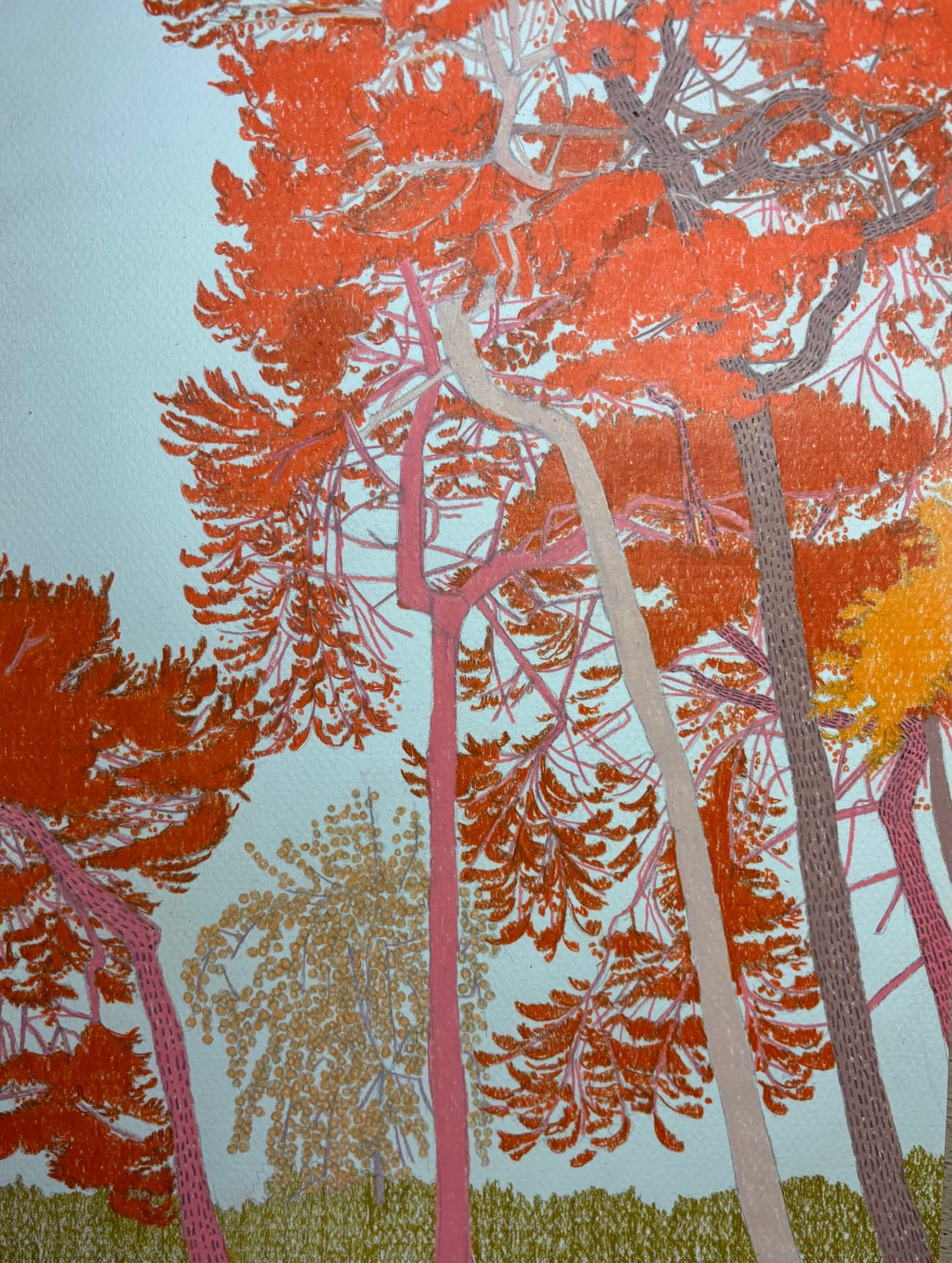 Drawings - Clare Halifax, A Little Hampstead Heath III