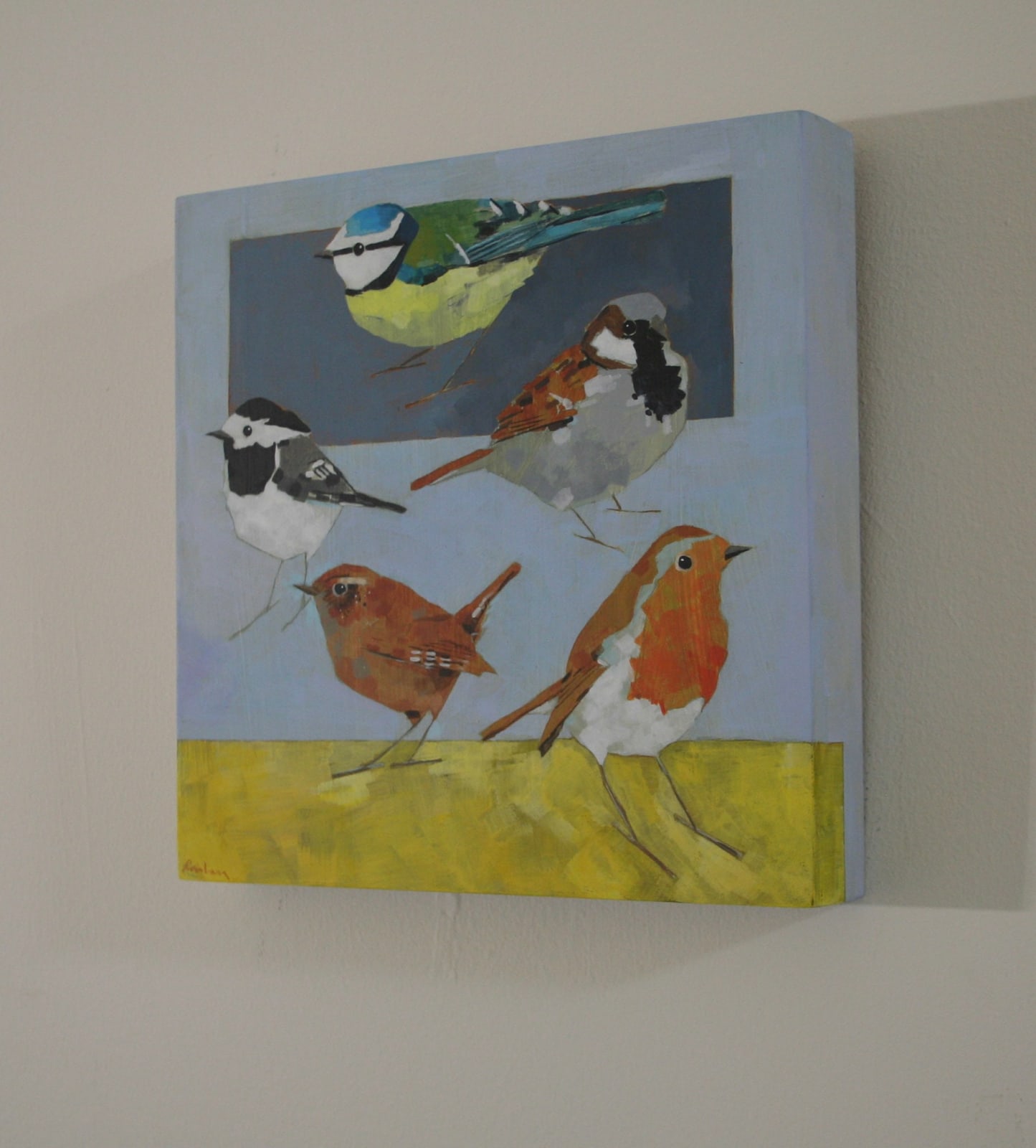 Christopher Rainham, Blue Tit, Pied Wagtail, Sparrow, Wren, Robin