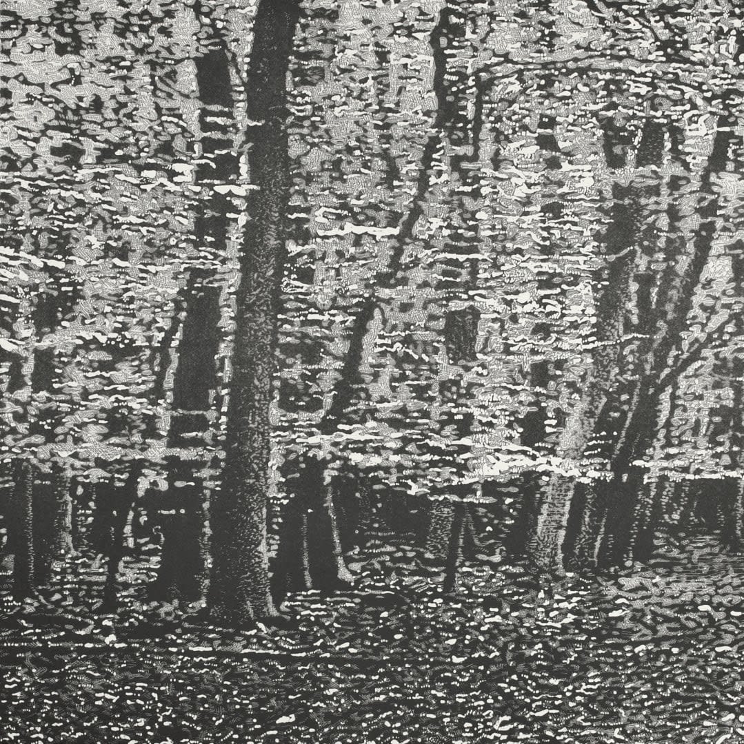 Trevor Price, Woodland IV