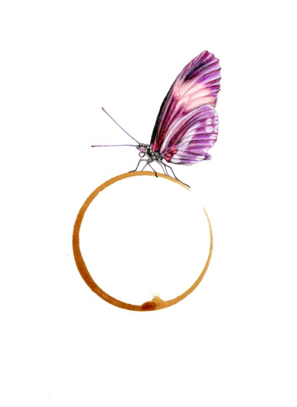 Rose Sanderson, Coffee Stain 3