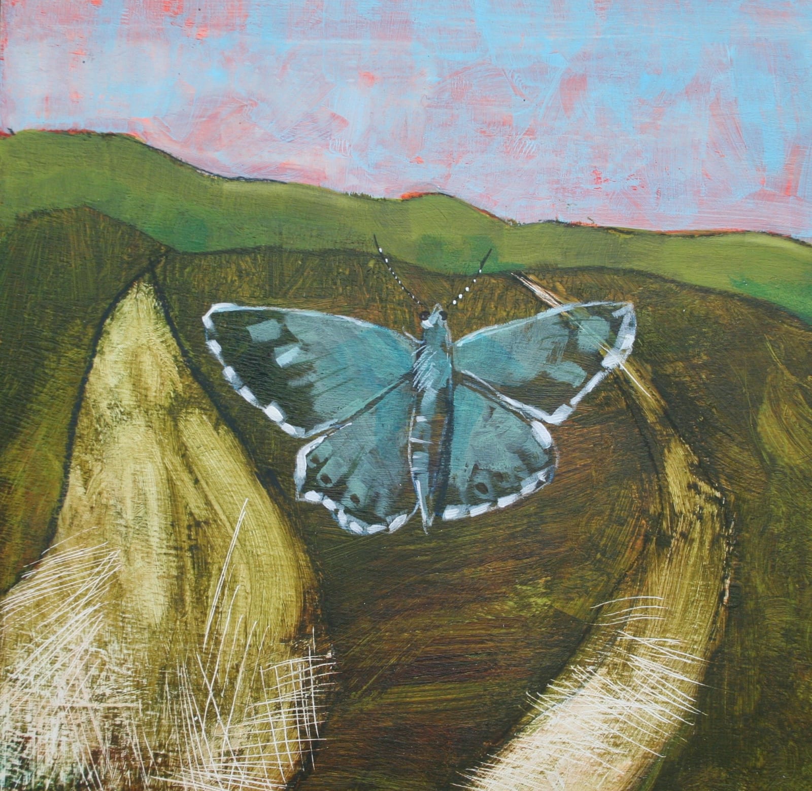 Christopher Rainham, Chalk Path Common Blue