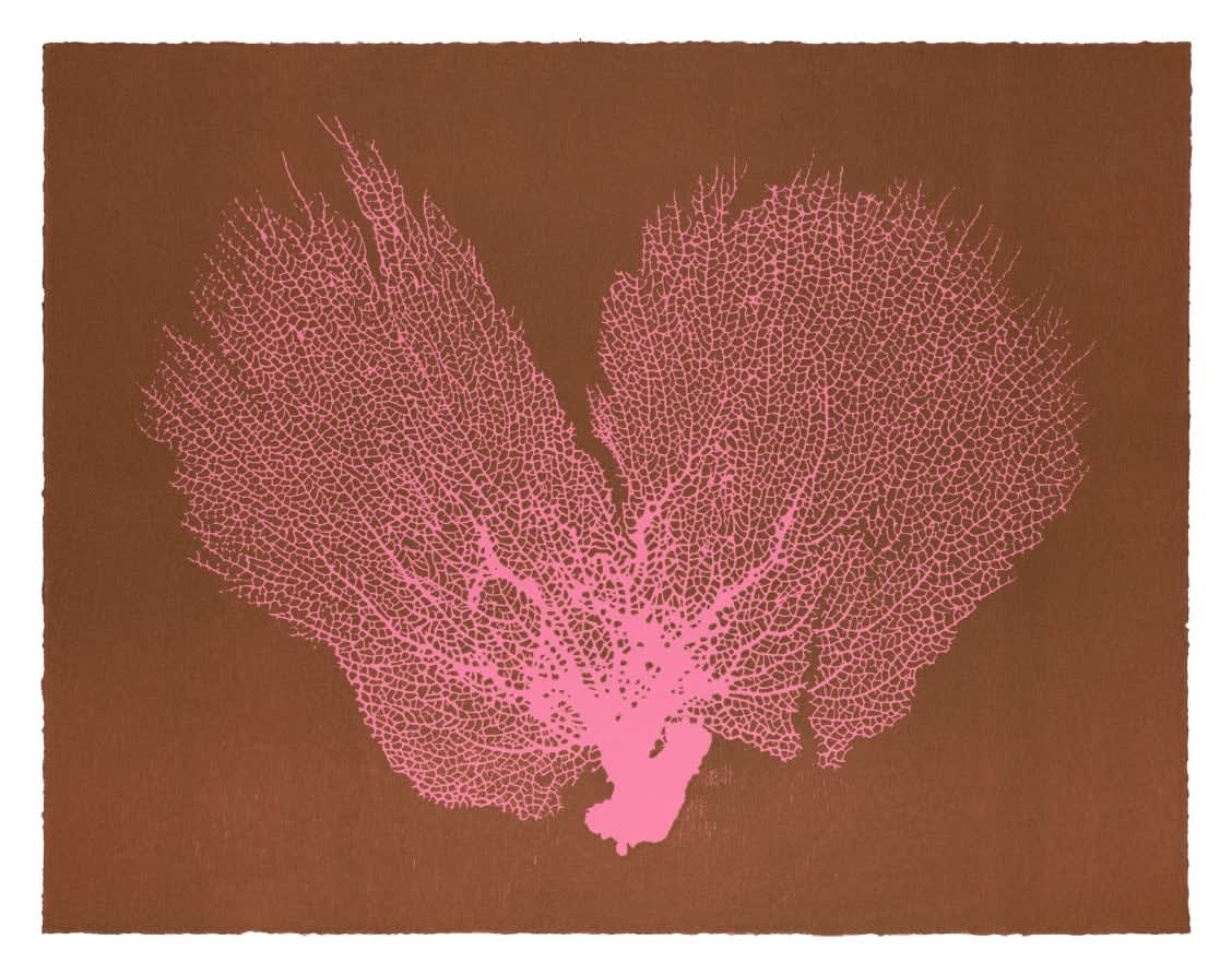 Jo De Pear, Sea Fan V - Pink/Aubergine