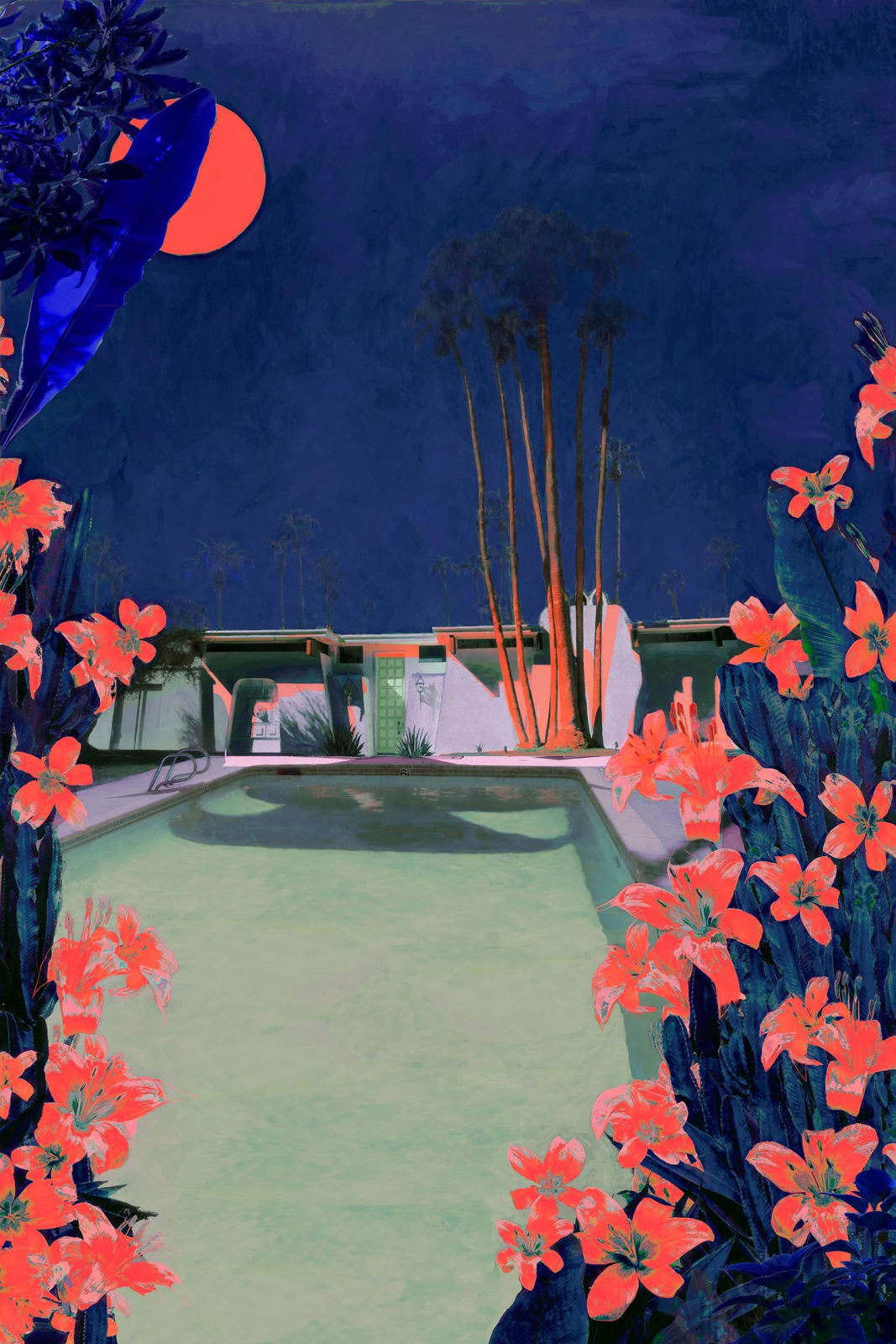 Nadia Attura, Cactus Moonrise