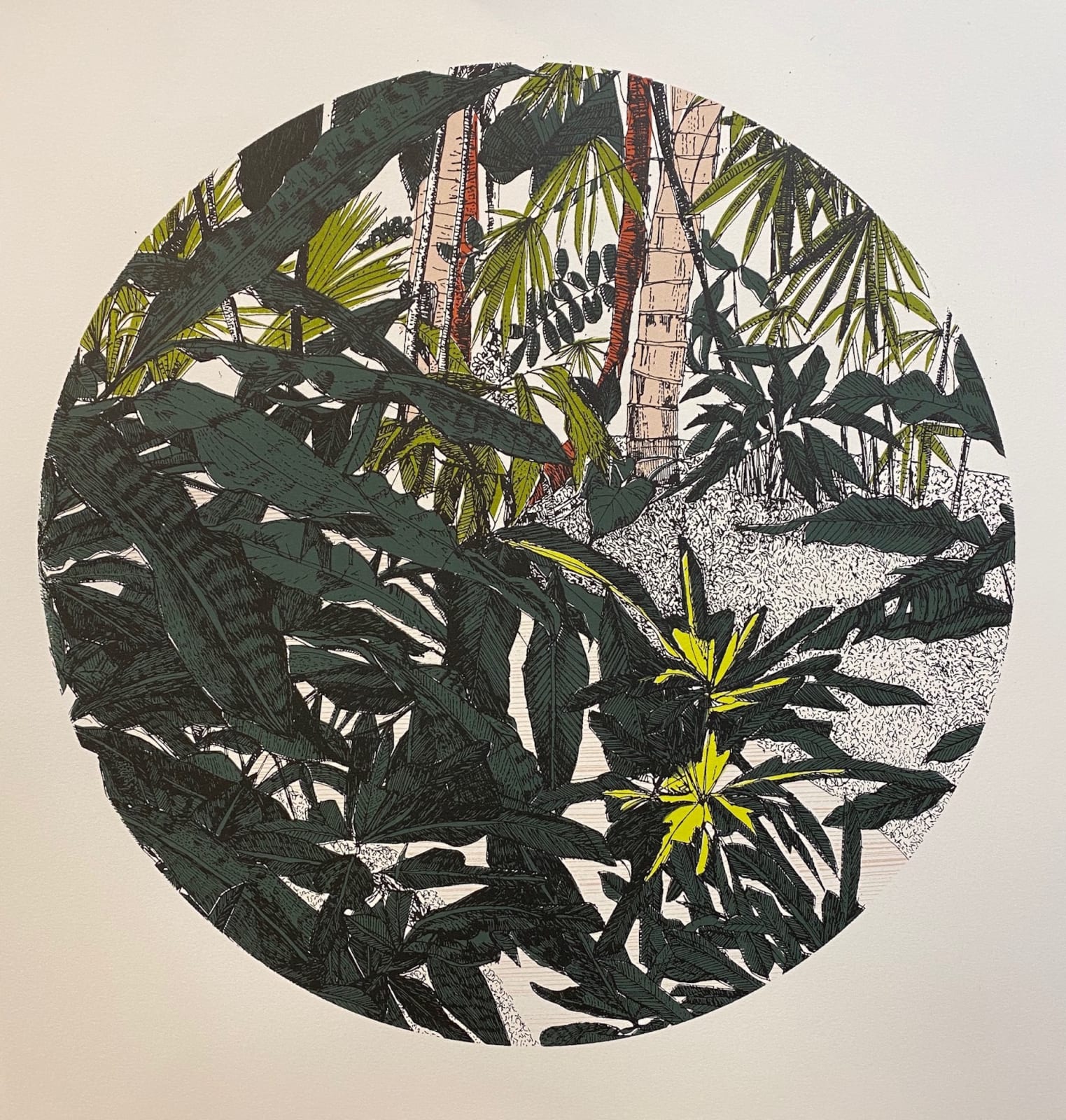 Clare Halifax, Nature - Nice to Have You Around