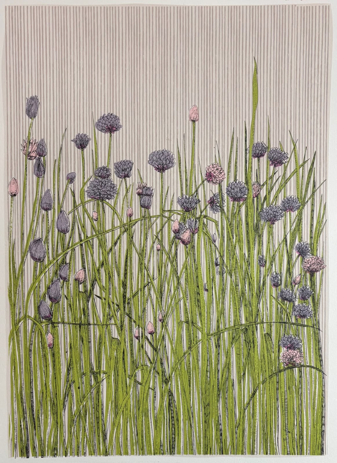 Clare Halifax, Chives