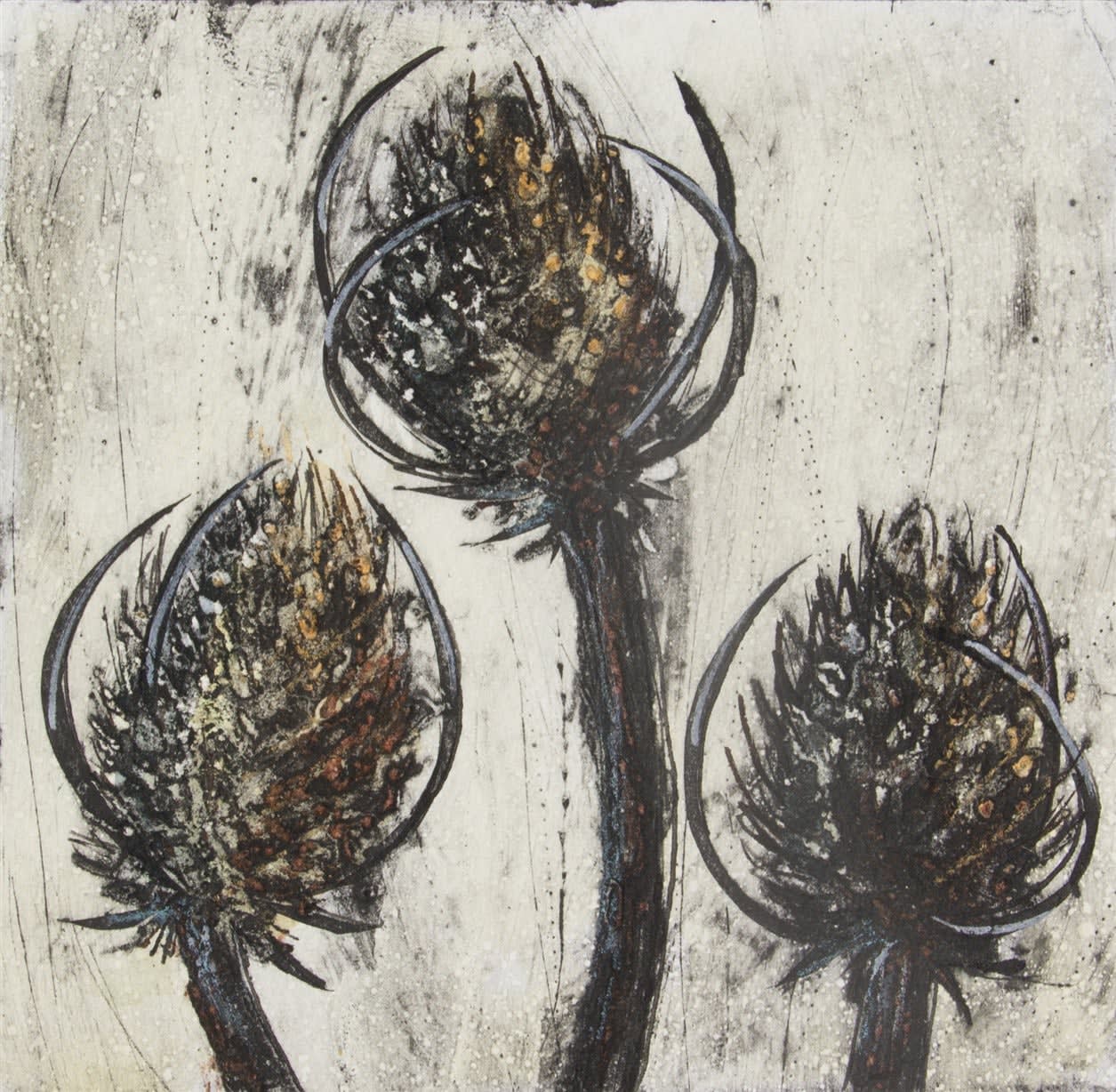 Vicky Oldfield, Three Teasels 5/20