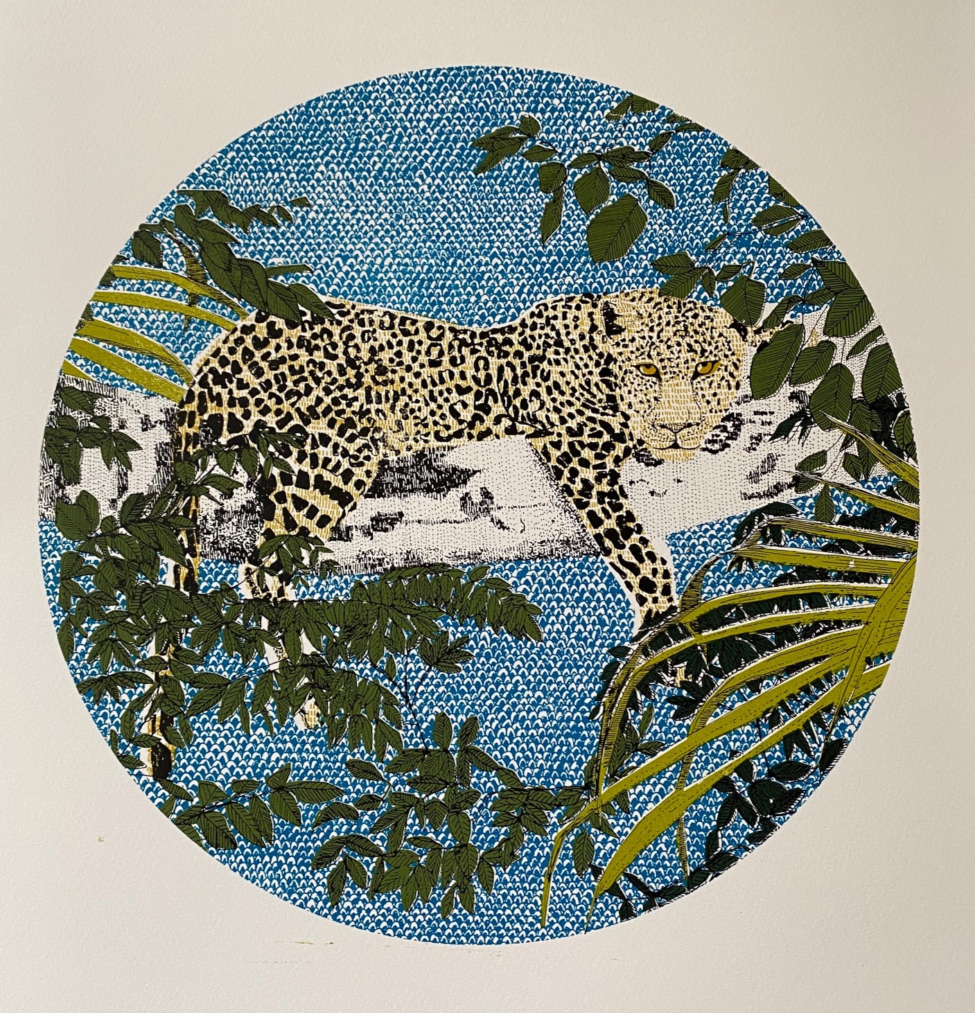 Clare Halifax, Lounging Leopard