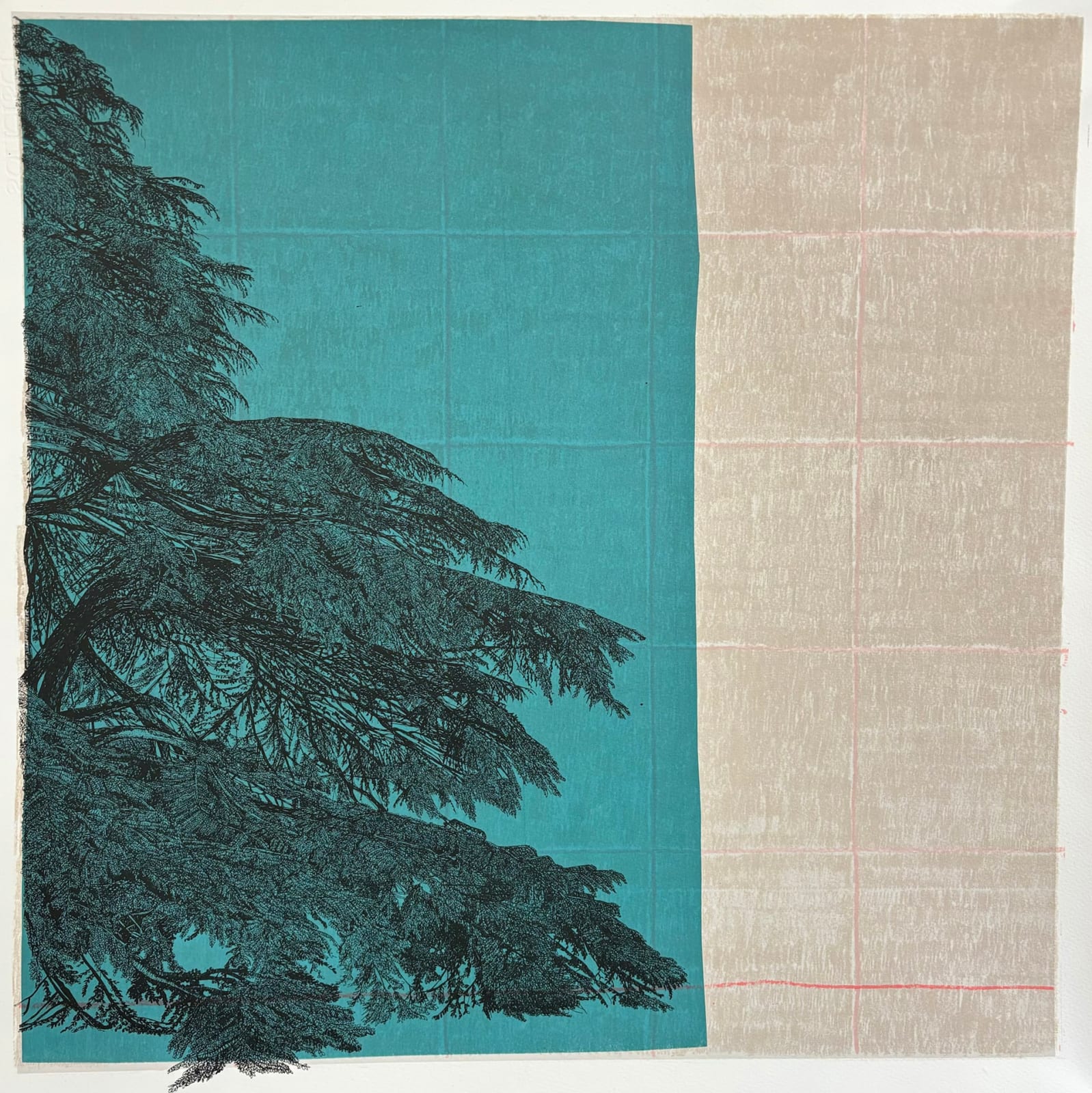 Clare Halifax, The Side of the Tree