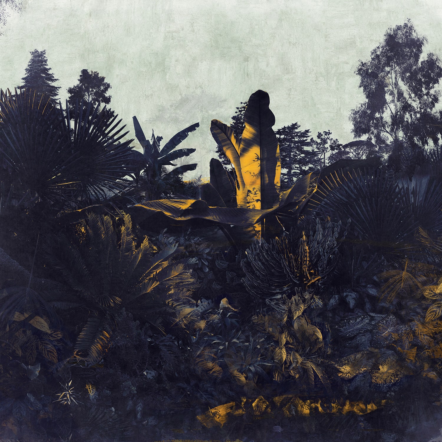 Nadia Attura, Kew Sunset