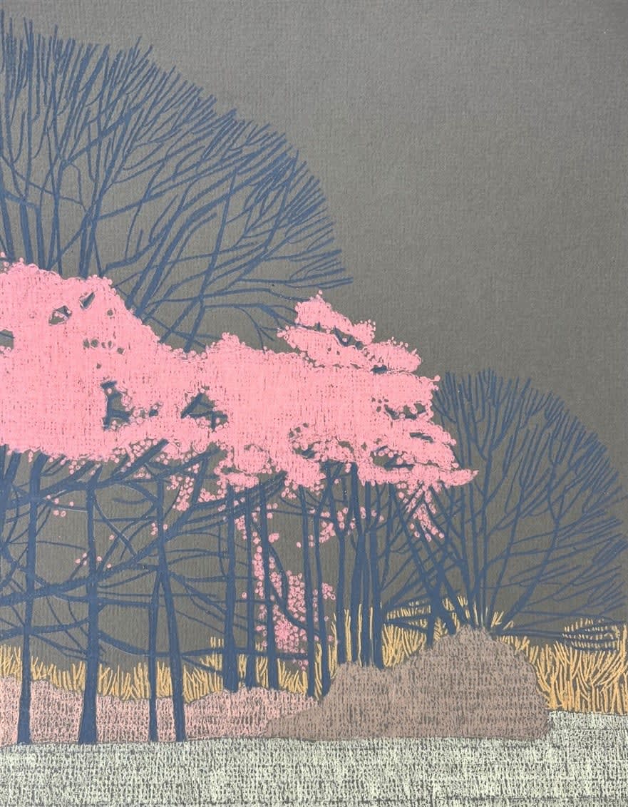 Drawings - Clare Halifax, Hampstead Heath Observation VII