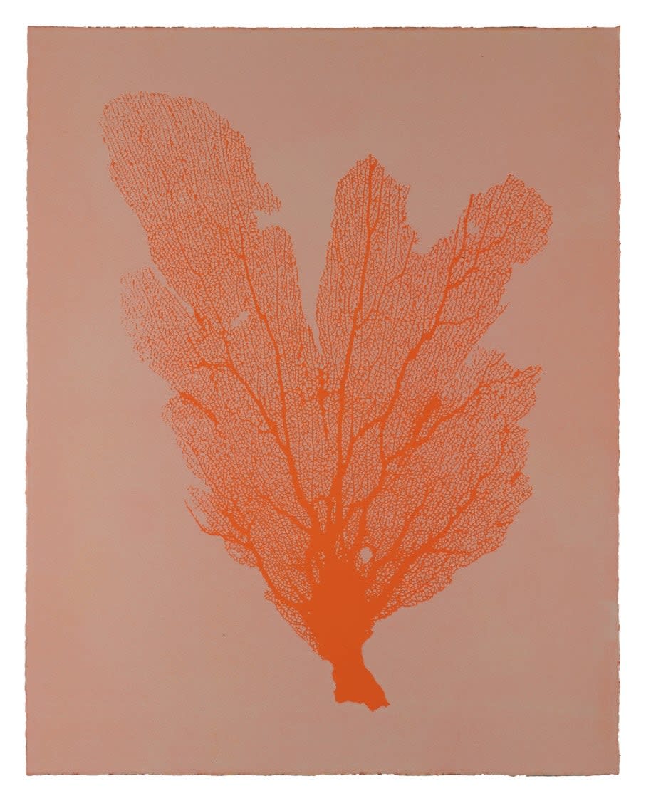 Jo De Pear, Sea Fan VII - Orange/Blush