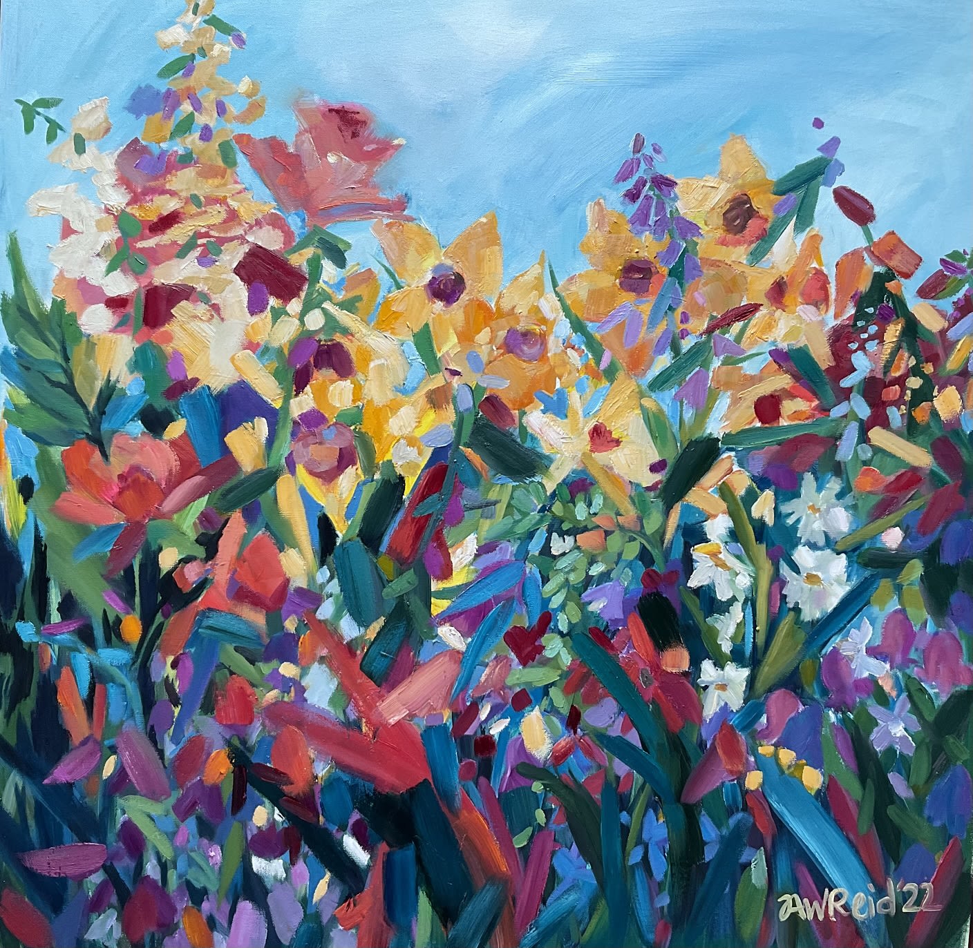 Tanya Reid, Symphony of Colour