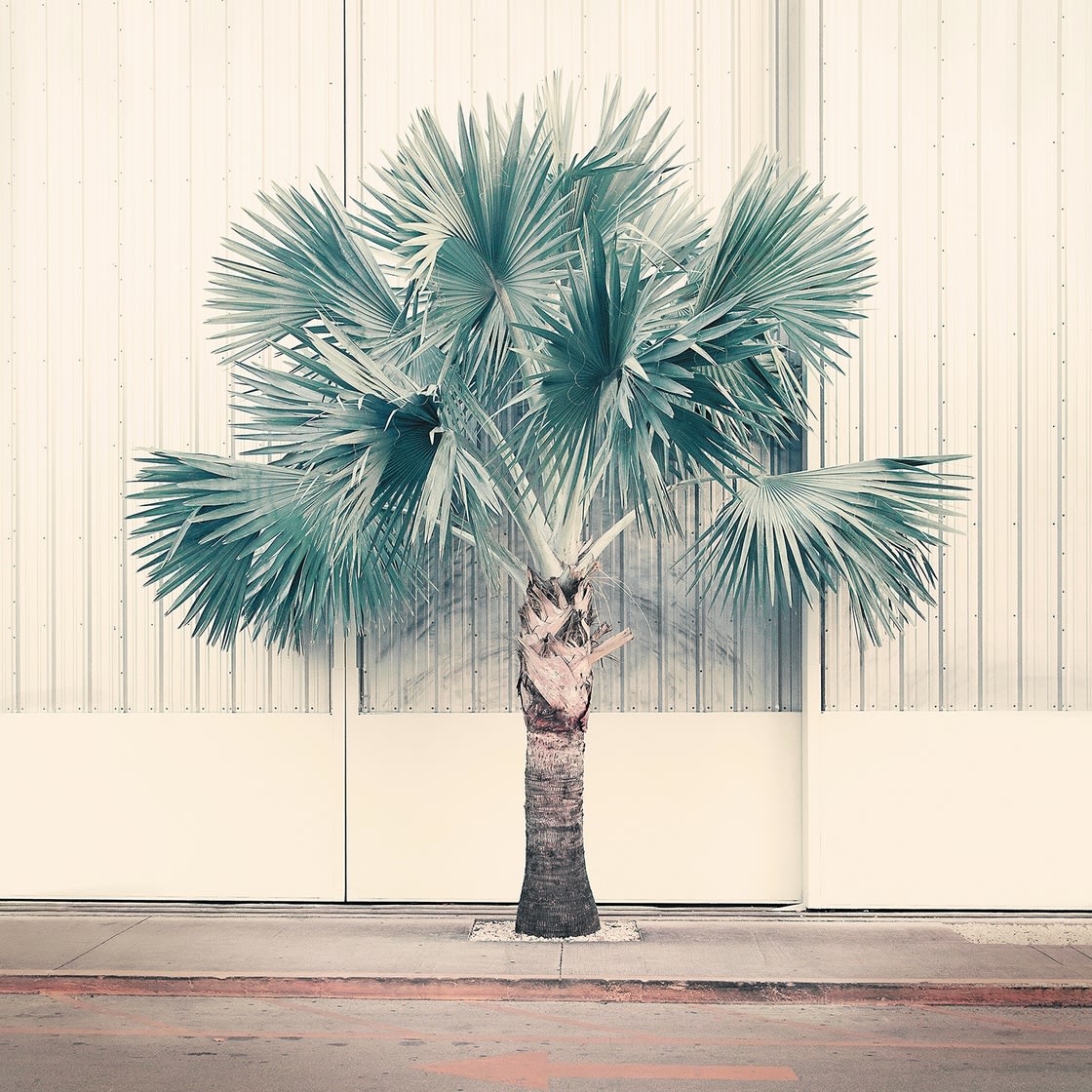 Nadia Attura, Palm Park