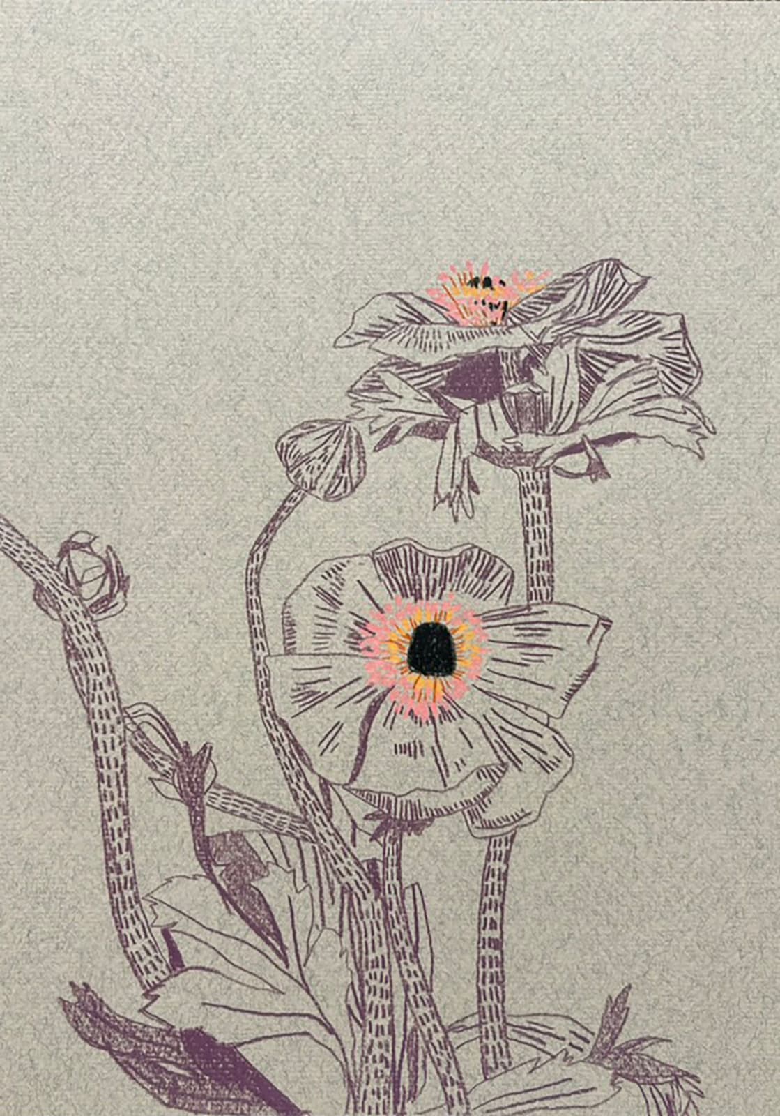 Drawings - Clare Halifax, Spring Bouquet viiii