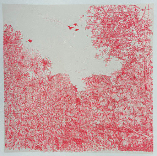 Clare Halifax, Coral Leaves