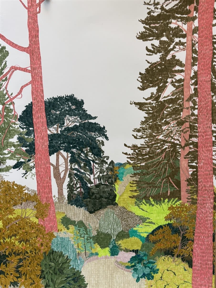 Drawings - Clare Halifax, Big Trees at Royal Botanic Gardens Edinburgh