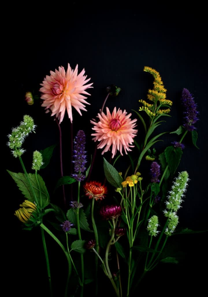 Dianna Jazwinski, Dahlias and Friends Still Life