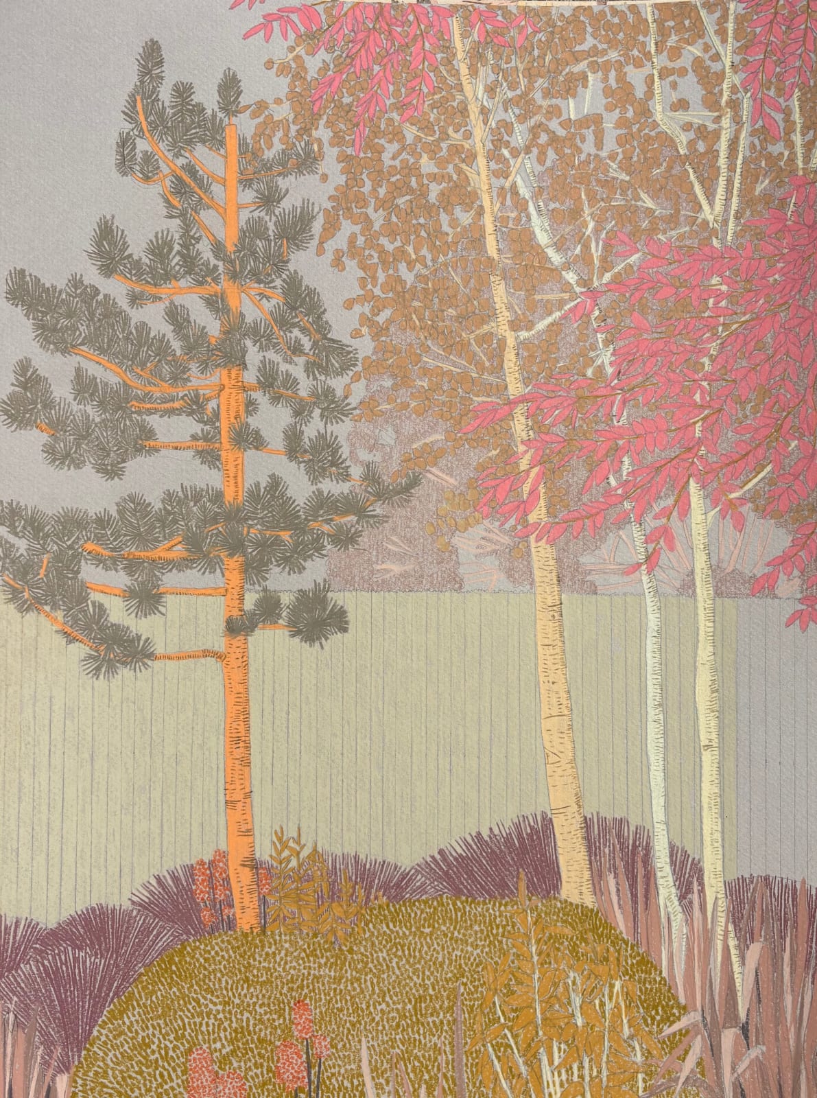 Drawings - Clare Halifax, Holland Park Study iii