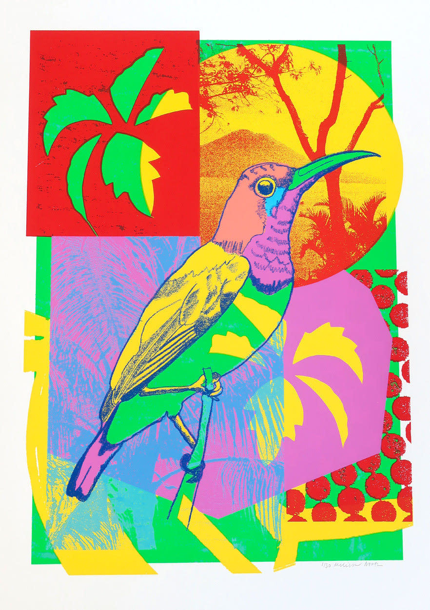 Melissa North, Sunbird