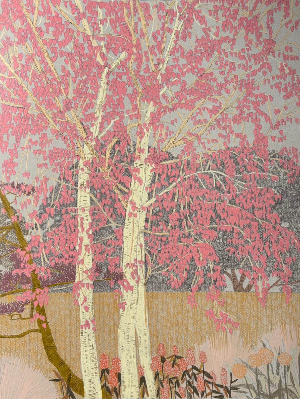 Drawings - Clare Halifax, Holland Park Study ii