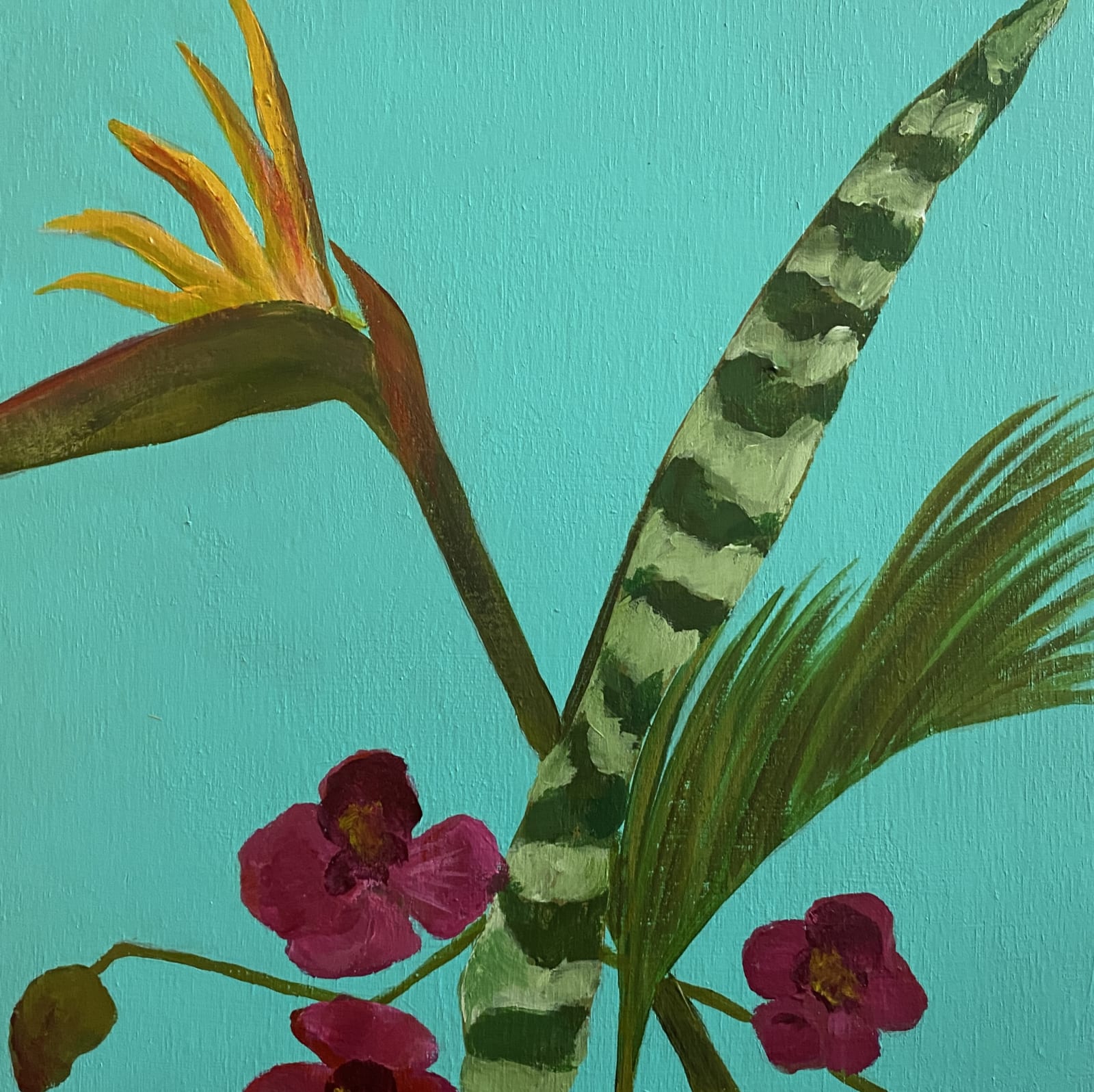 Dawn Beckles, Packer 1