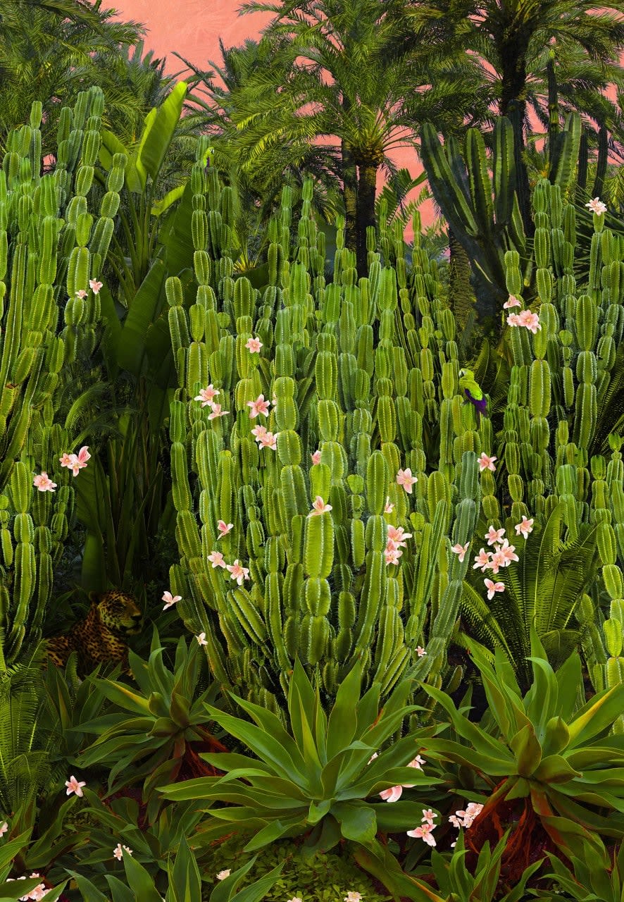 Nadia Attura, Cactus Song