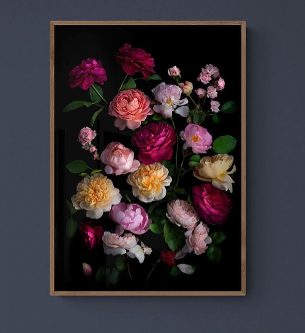 Dianna Jazwinski, Rose Garden