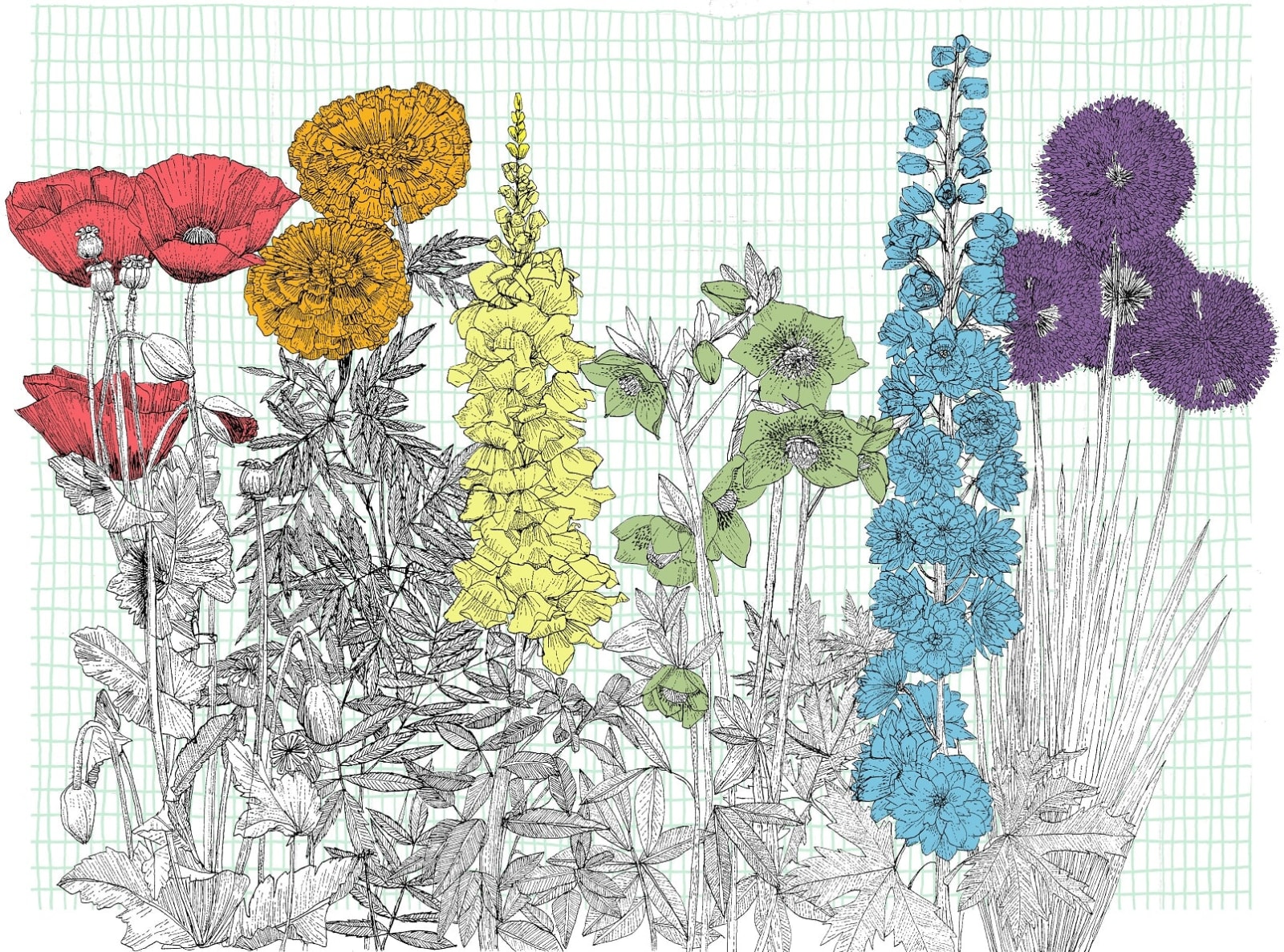 Clare Halifax, Pride in Bloom