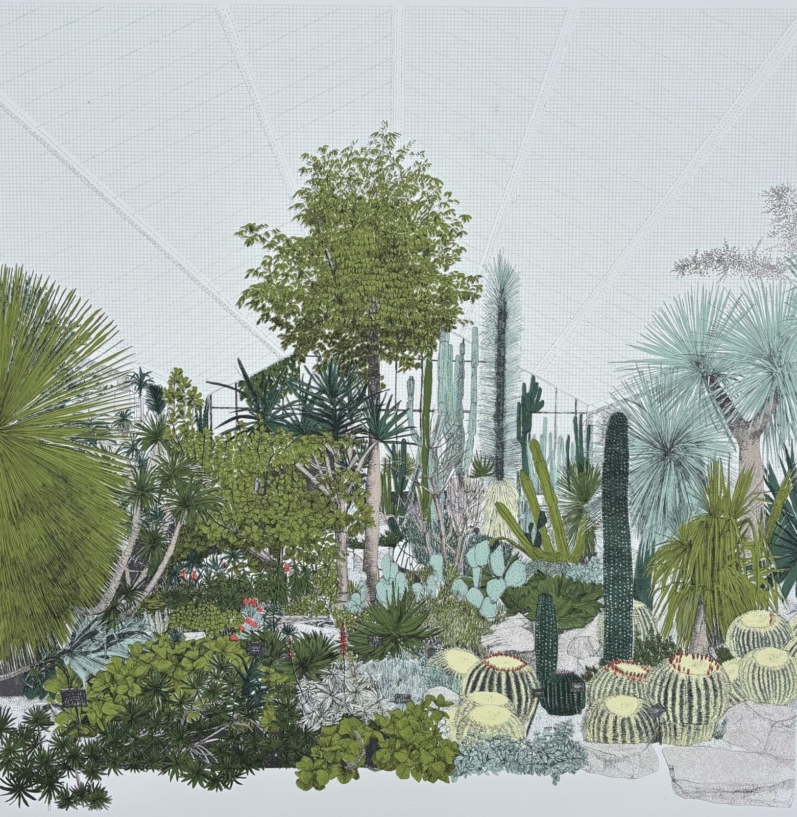 Clare Halifax, A Conservatory of Cacti