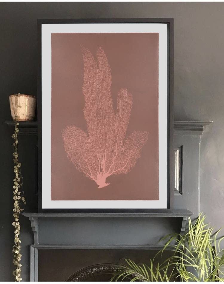 Jo De Pear, Sea Fan IV - Pink/Blush