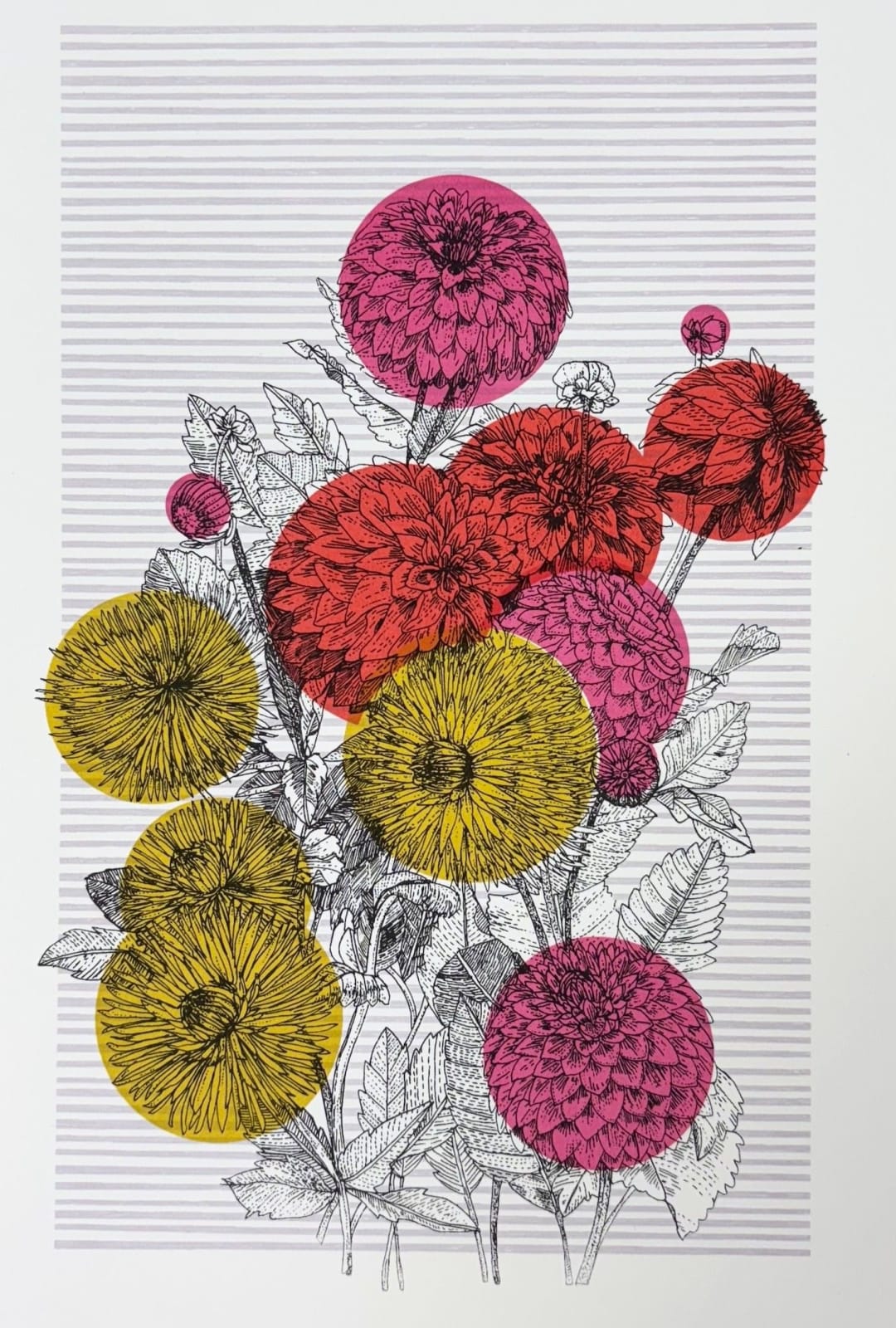 Clare Halifax, Mexican Dahlia