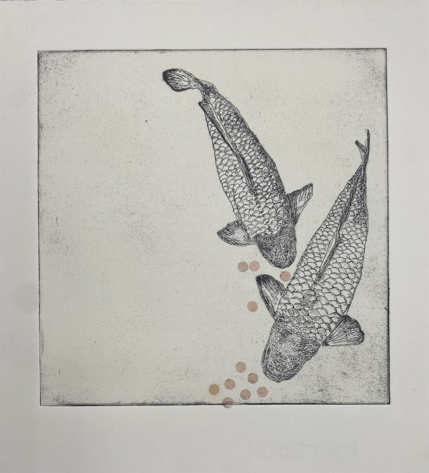 Clare Halifax, Two Koi with Bubbles