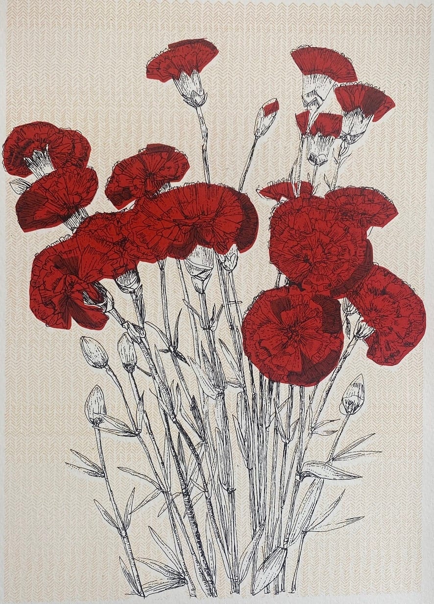 Clare Halifax, Spanish Carnation