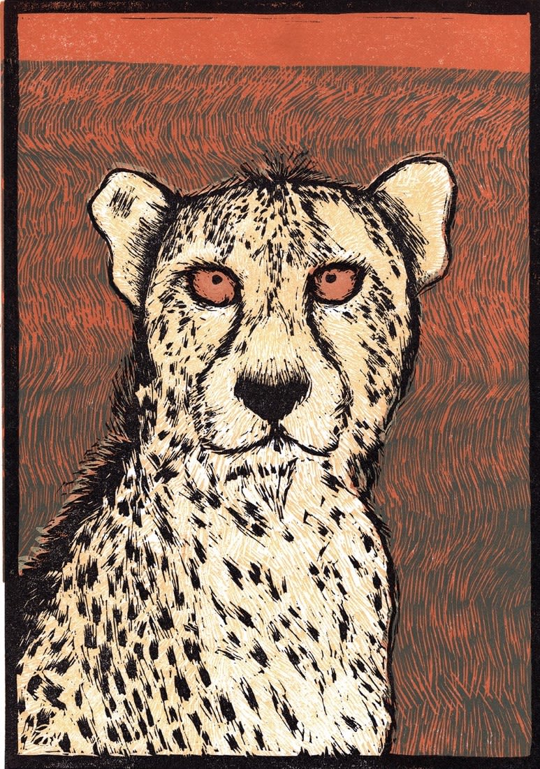 Faisal Khouja, Cheetah