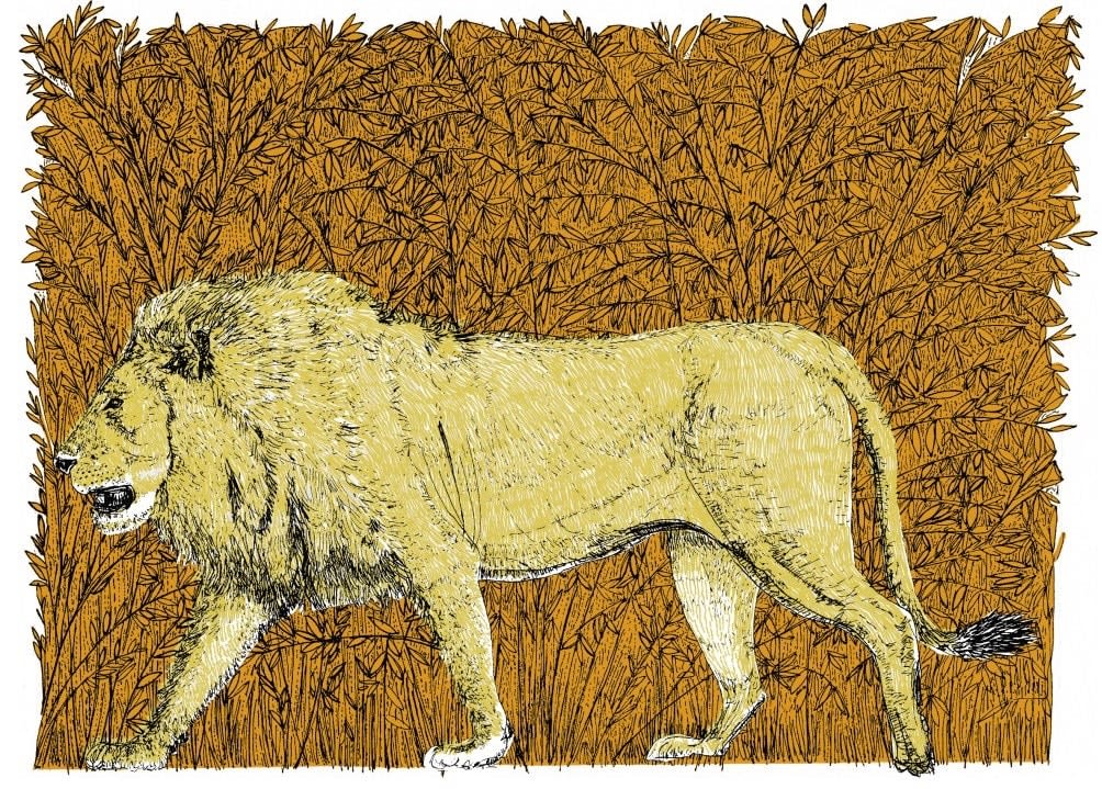 Clare Halifax, Little Big Cat - Lion