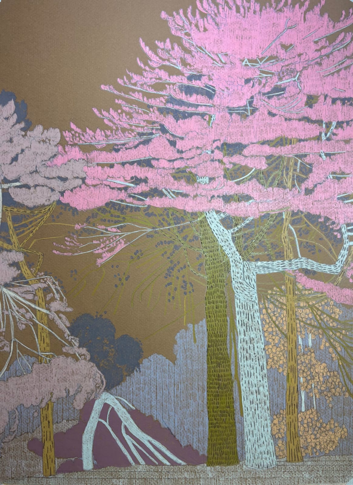 Drawings - Clare Halifax, Hampstead Heath Study V