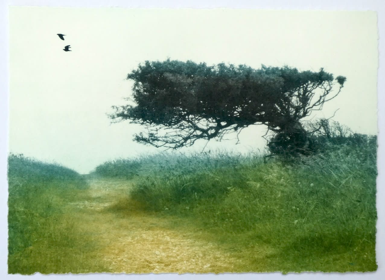 Luella Martin, Beach Path