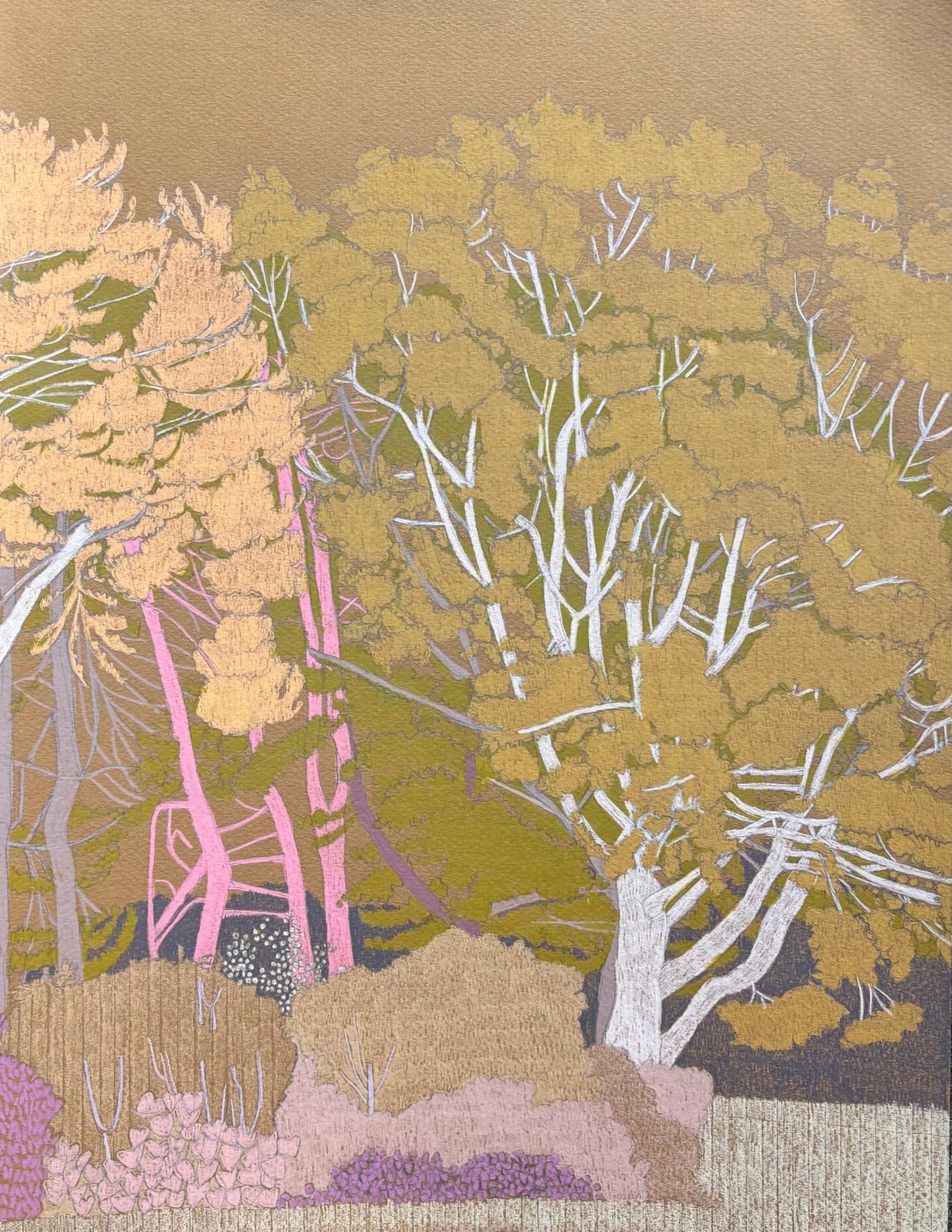 Drawings - Clare Halifax, Hampstead Heath Study VI