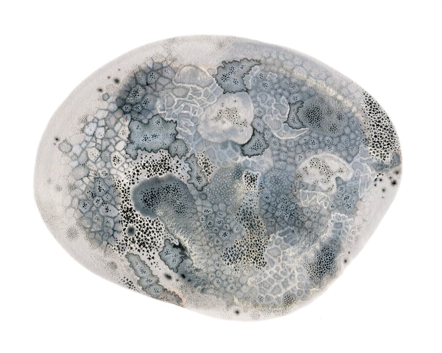 Rose Sanderson, Coalesce VI