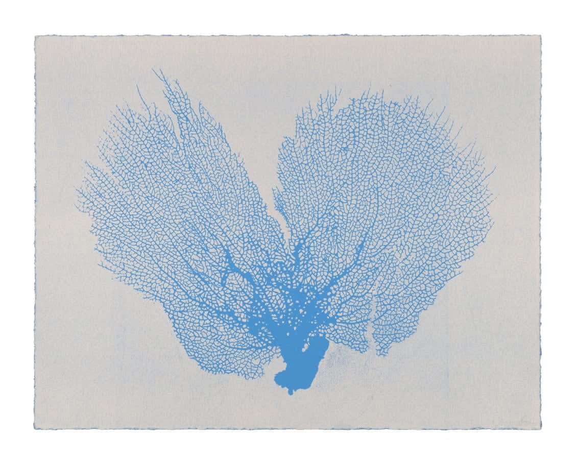 Jo De Pear, Sea Fan V - Blue/Grey