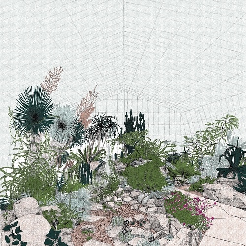 Clare Halifax, Hot Mass of Cacti