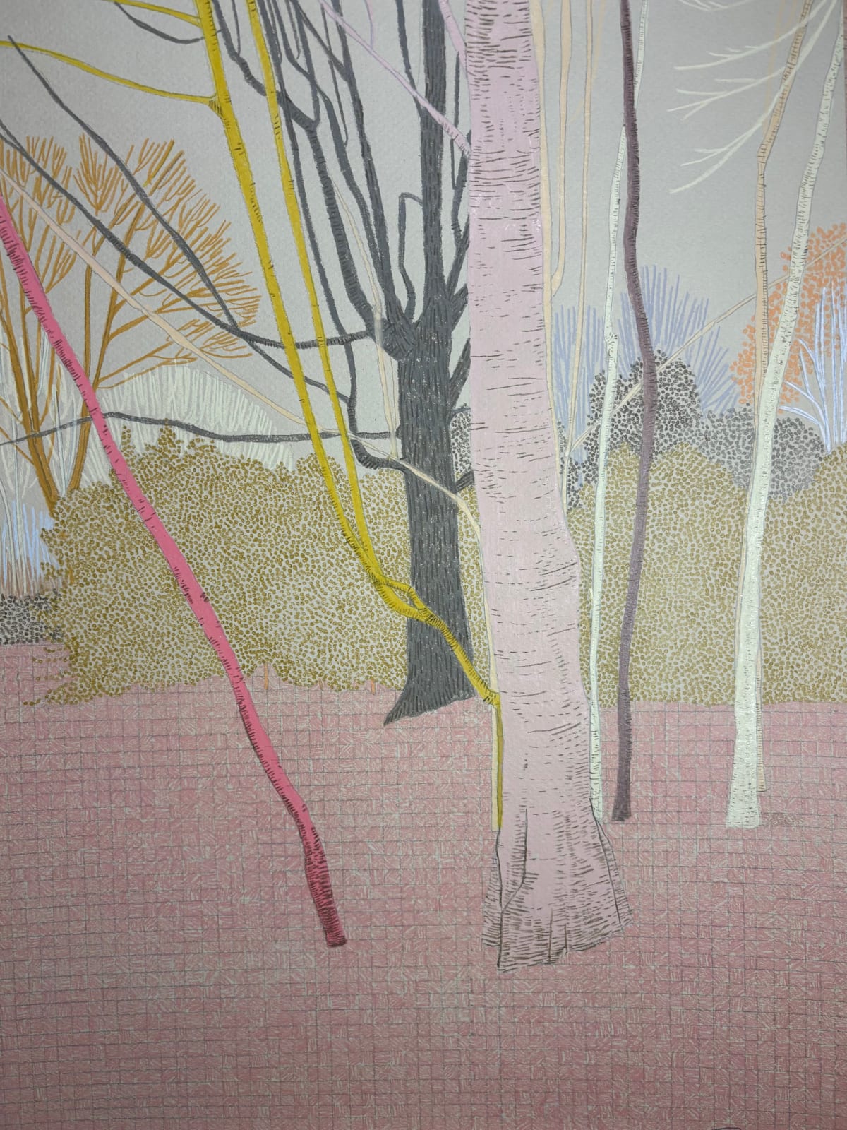 Drawings - Clare Halifax, Holland Park Study iii