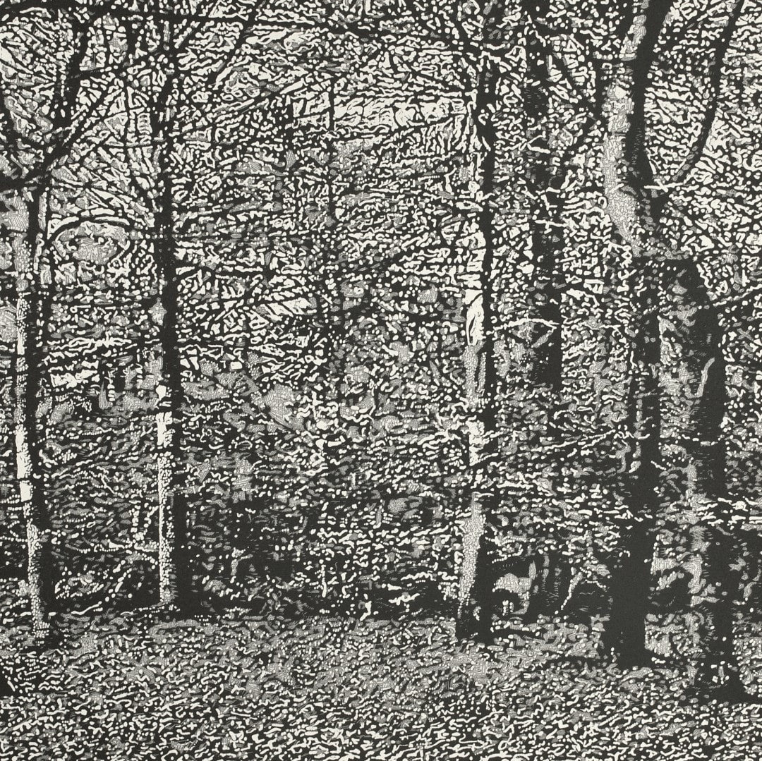 Trevor Price, Woodland II